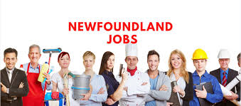 Jobs in Cbs Nl