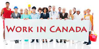 Jobs in Gfw