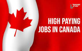 Ontario Carpenters Union Job List